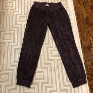 Cozy Comfy Purple Velour/ Velvet Joggers